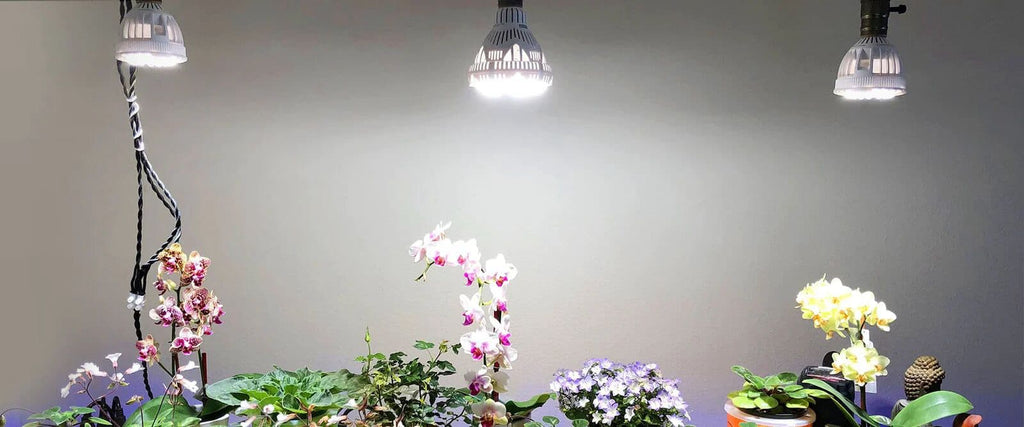 Sansi LED Grow Light Birne - 24W Indoor